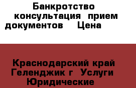 Банкротство (консультация, прием документов) › Цена ­ 2 000 - Краснодарский край, Геленджик г. Услуги » Юридические   